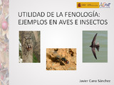 04_ Cano_Fenología_2019.pdf.jpg