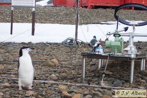 Equipos radiación 7.jpg.jpg