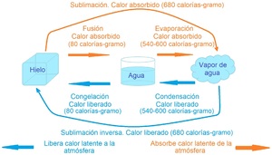 Fig 7.2.jpg.jpg