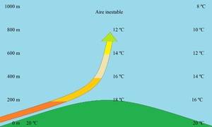 Fig 7.11.jpg.jpg