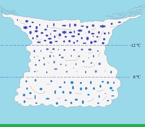 Fig 8.44.jpg.jpg