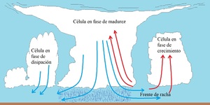 Fig 8.50.jpg.jpg