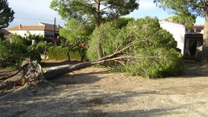 Fig 10.9.jpg.jpg