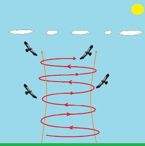 Fig 11.35.jpg.jpg