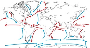 Fig 14.4.jpg.jpg