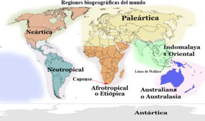 Fig 14.13.png.jpg