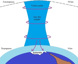 Fig 16.5.jpg.jpg