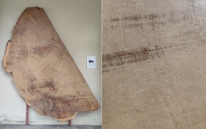Fig 15.6.jpg.jpg