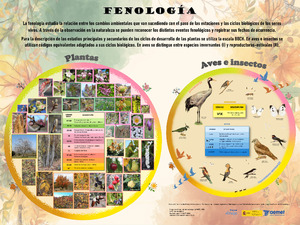 Fenologia_AEMET.pdf.jpg