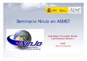 11 seminario JM Fdez Serdan _NInJo_feb2011.pdf.jpg