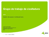 13_Grupotrabajo_ciza_JIriarteAena_JCizalladura2018.pdf.jpg