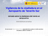 7_Vigi_Cizall_AeroTenerifeSur_AMolina_JCizalladura2018.pdf.jpg