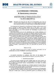 BOE-A-2021-11631.pdf.jpg