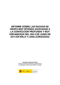 Informe_Erla-9jun2014.pdf.jpg