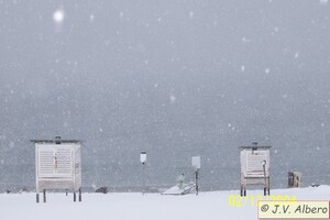 Parcela Meteo 2.jpg.jpg