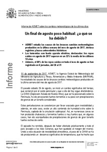 informeaemet_finalesagosto2017.pdf.jpg