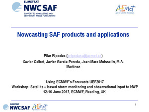 Nowcasting_saf-products_applications.pdf.jpg