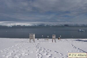 Parcela Meteo 3.jpg.jpg